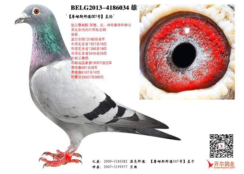>> 查看拍卖商品