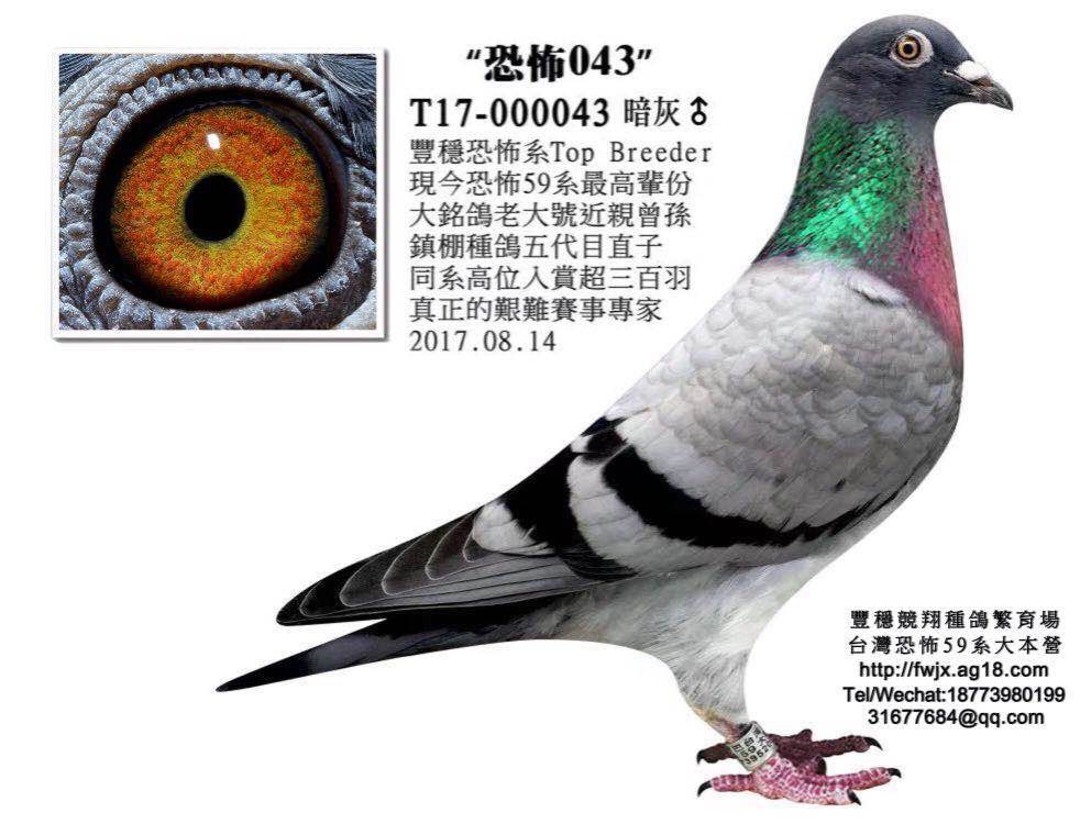 >> 查看拍卖商品