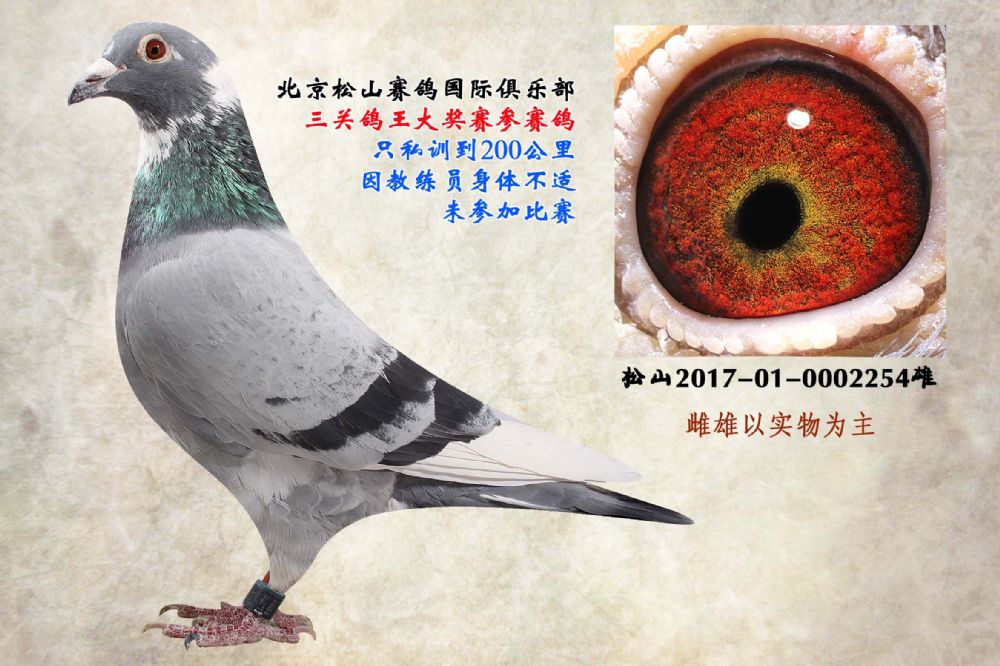 >> 查看拍卖商品