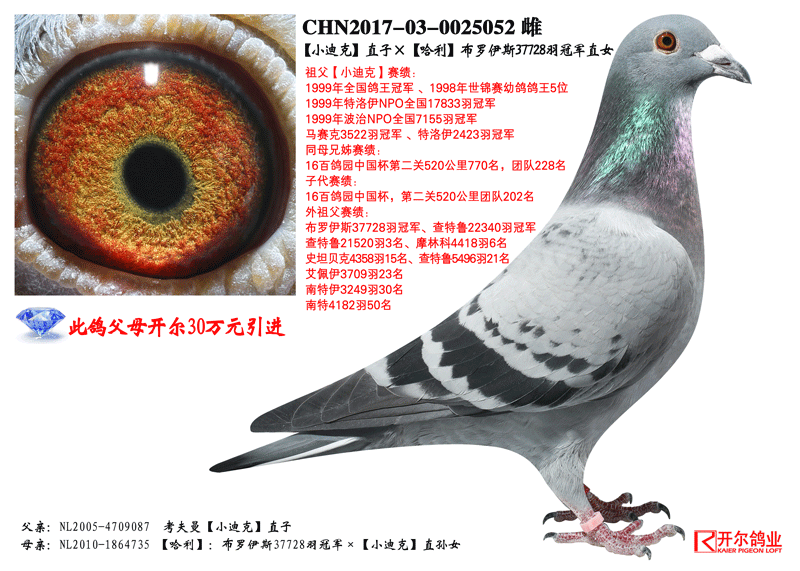 >> 查看拍卖商品