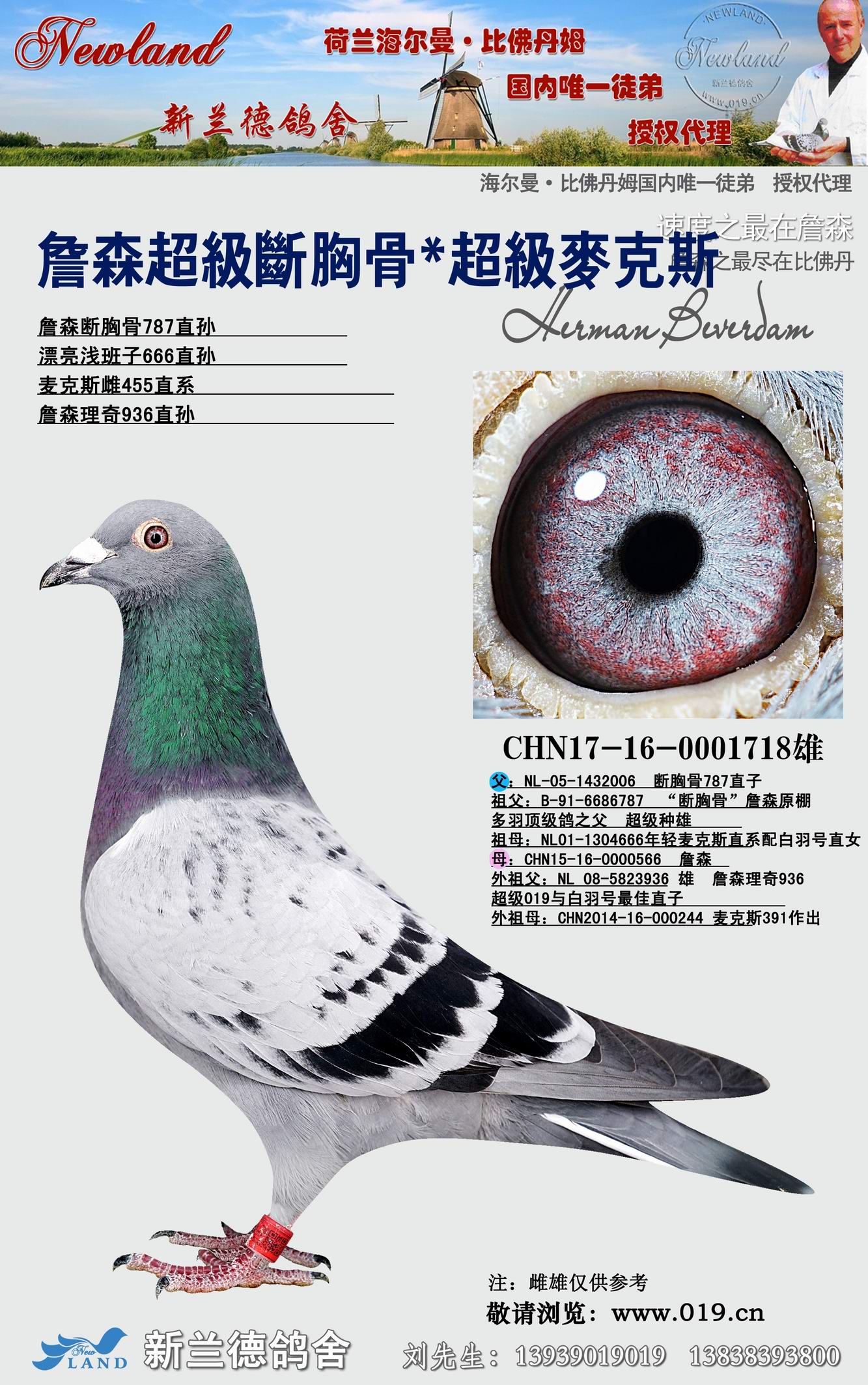 詹森超级断胸骨*超级麦克斯回血 保证金级 拍卖