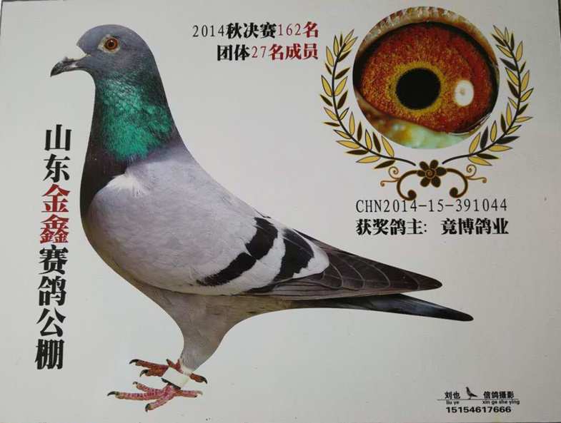 竞搏鸽业 - 中信网铭鸽展厅 www.ag188.com