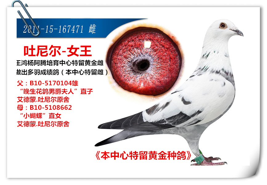 >> 查看拍卖商品