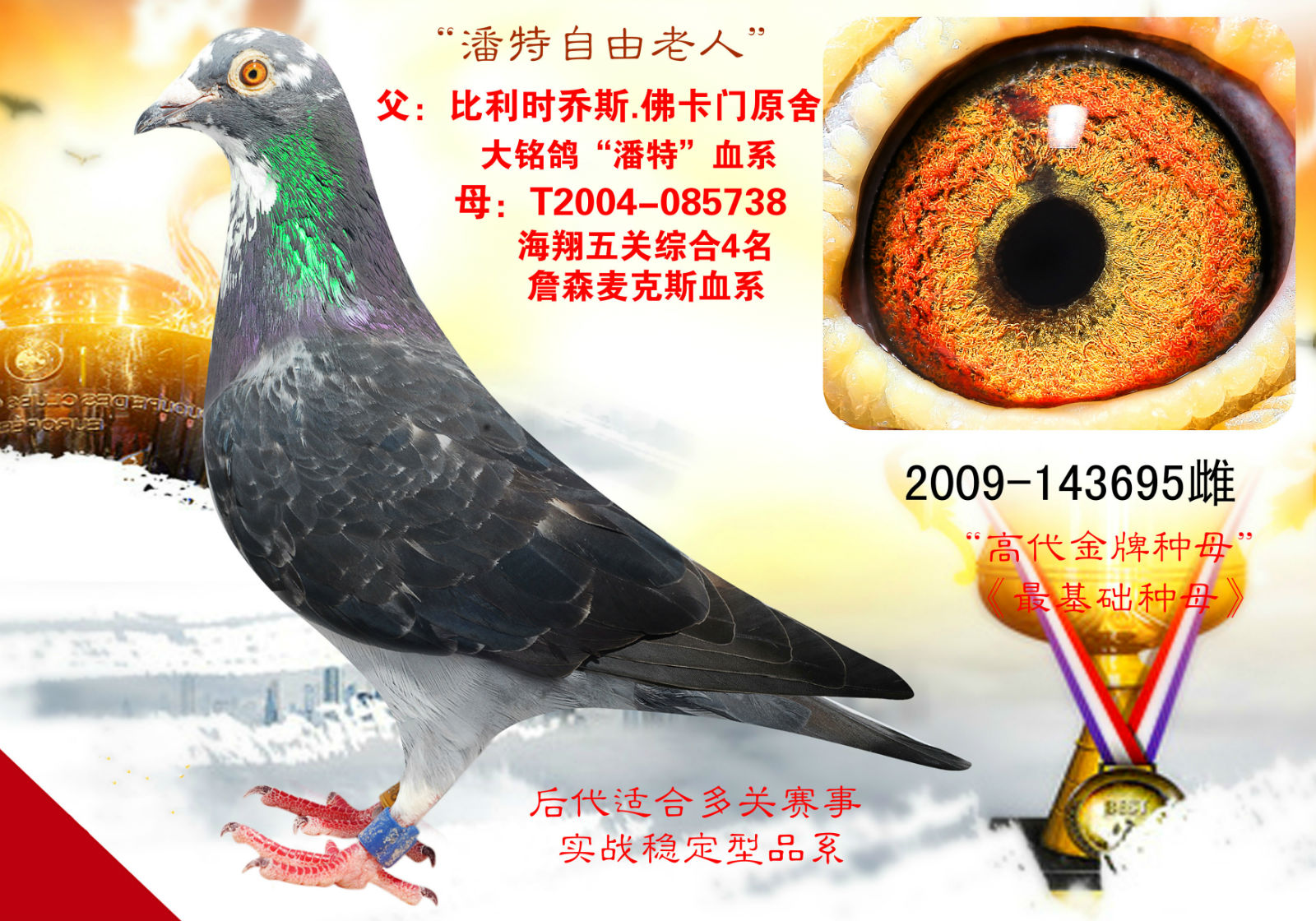 "乔斯佛卡门潘特"                          保证金级
