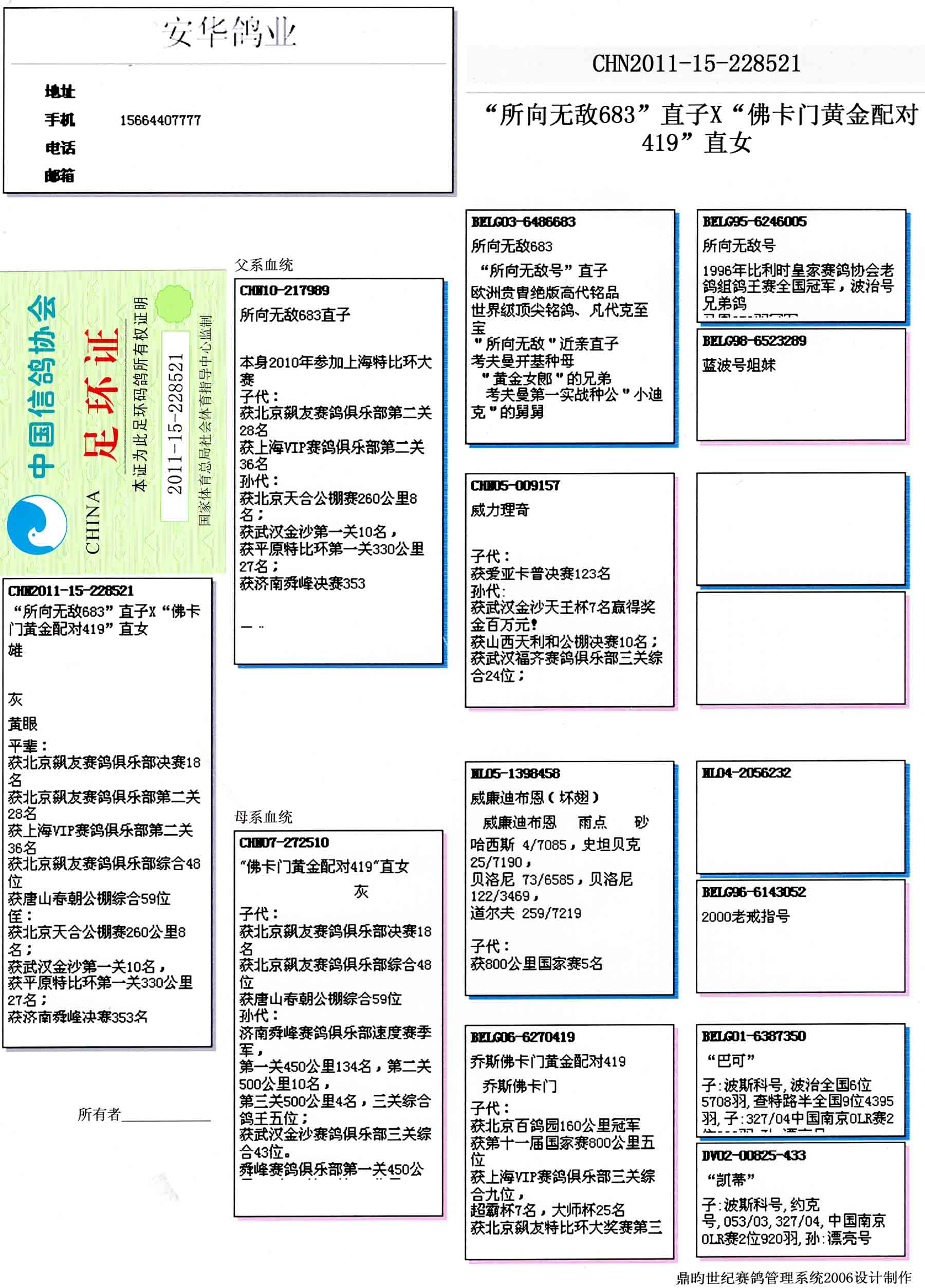 山东安华鸽业 中信网铭鸽展厅 www.ag188.com