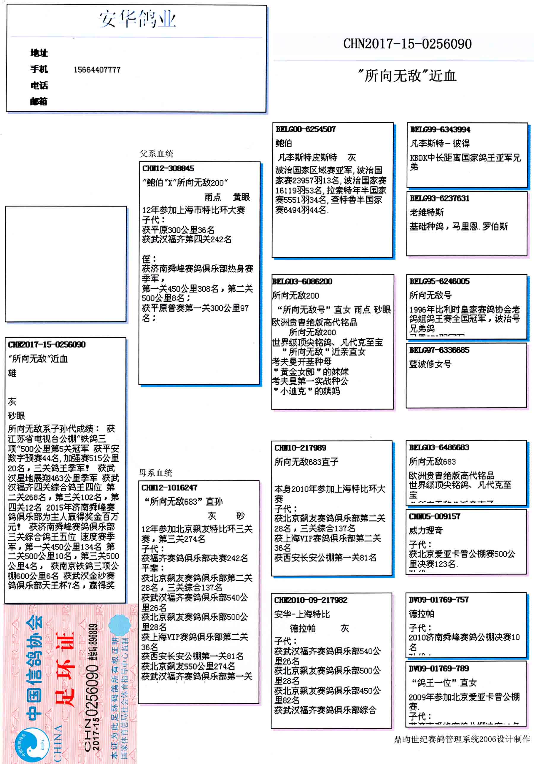 山东安华鸽业 中信网铭鸽展厅 www.ag188.com