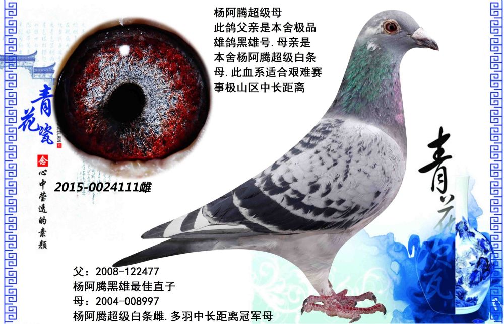 查看拍卖商品