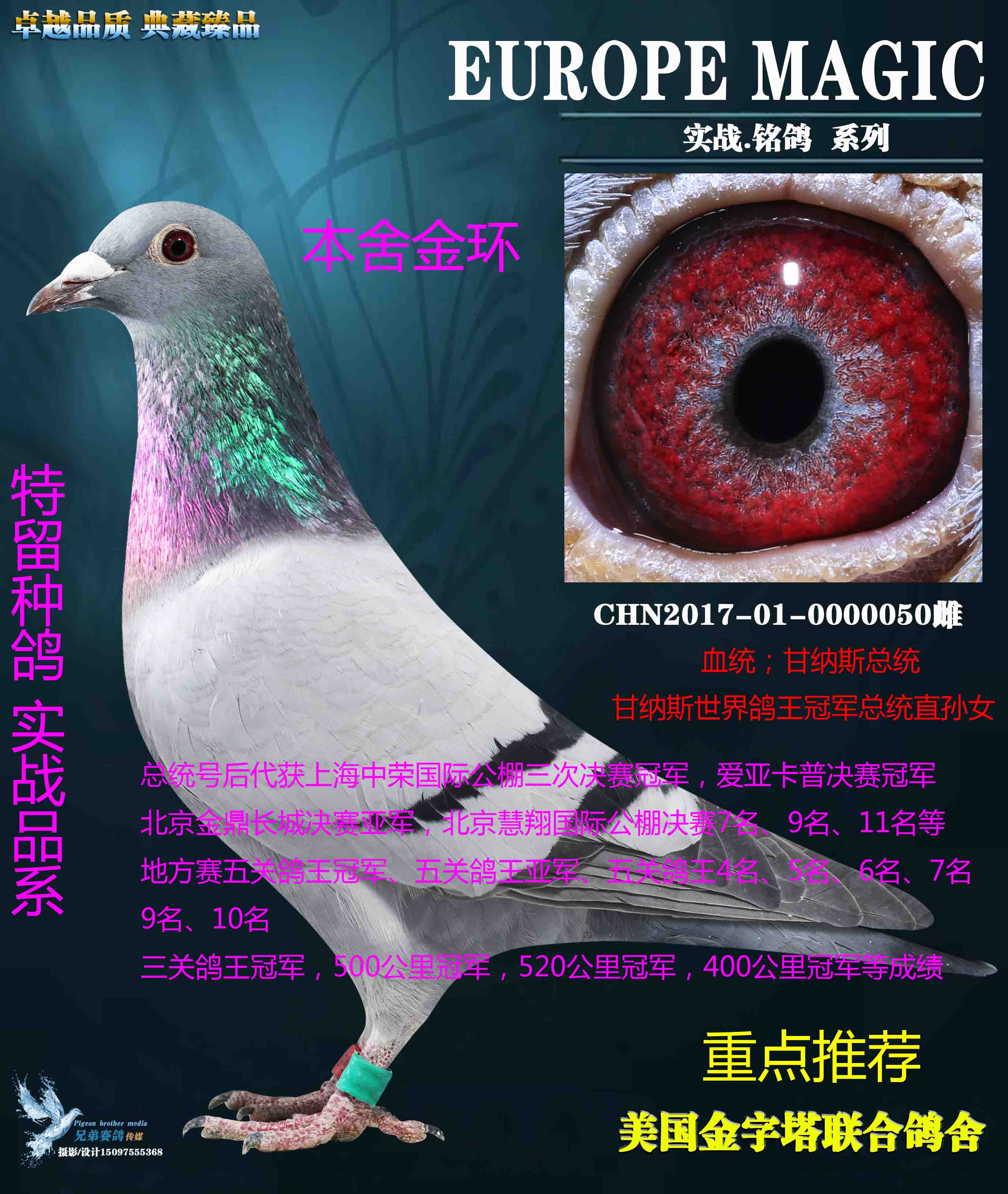 美国金字塔联合鸽舍 - 中信网铭鸽展厅 www.ag188.com