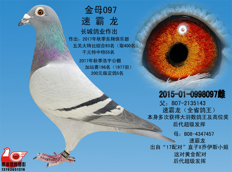 信鸽拍卖首页 拍卖专题 >> 查看拍卖商品 相关图片 目前尚无图片!