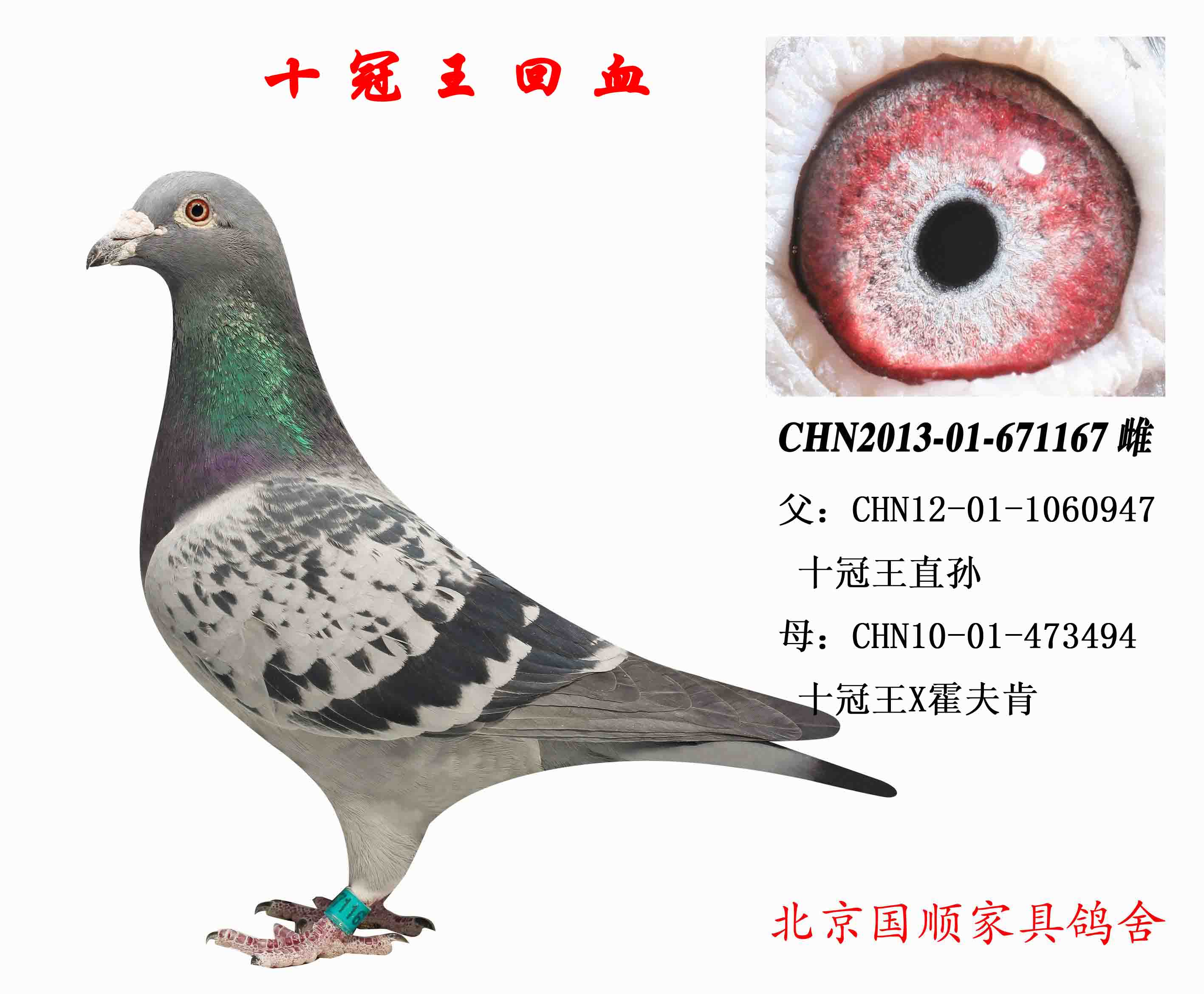 没有北京直达车需周转的周转费另行计算,东北三省及新疆,西藏等地另行