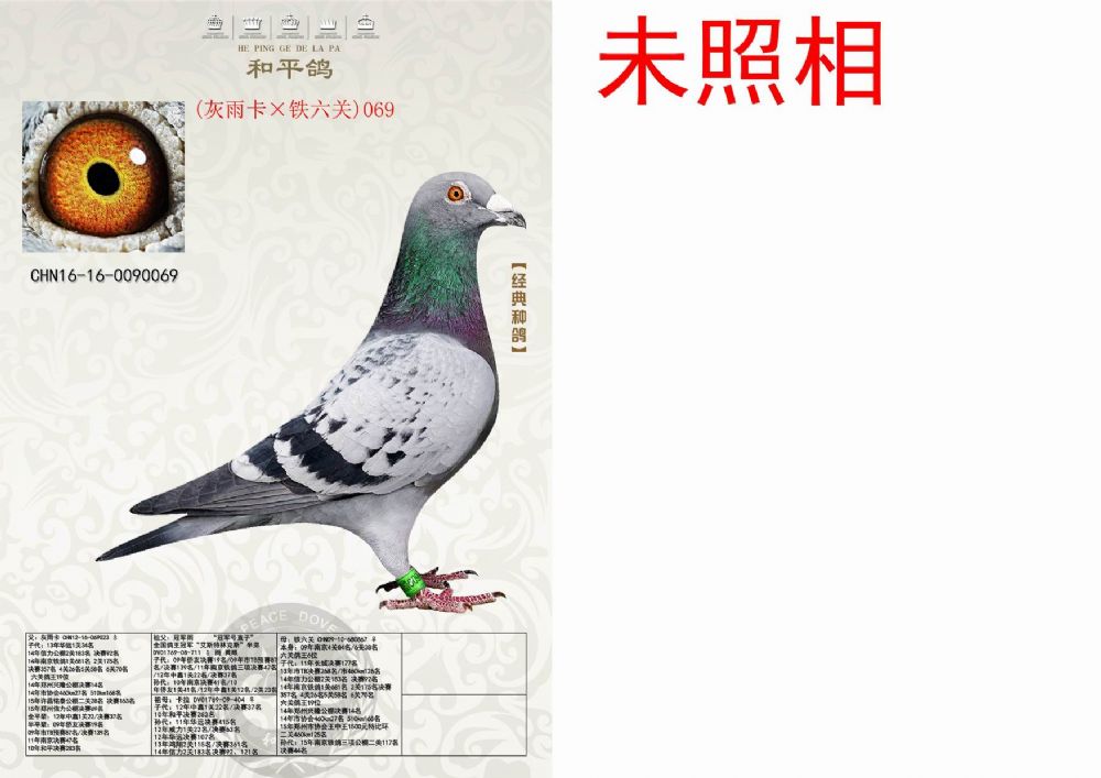 德拉帕×速霸龙,本身特比 保证金级 拍卖
