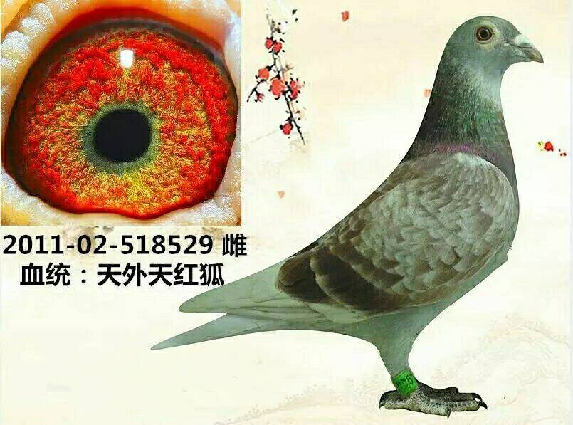 >> 查看拍卖商品
