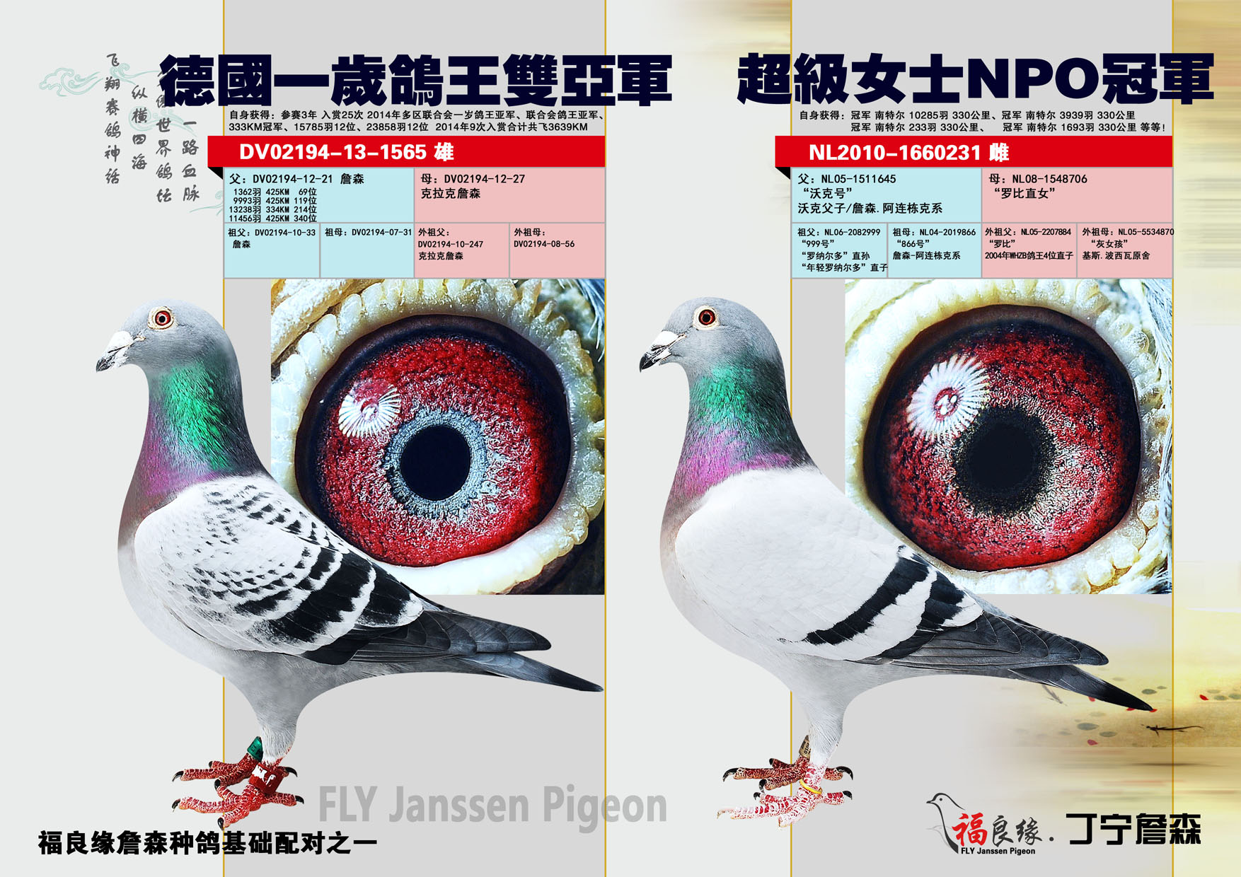 信鸽拍卖首页 拍卖专题 >> 查看拍卖商品 相关图片         商品信息
