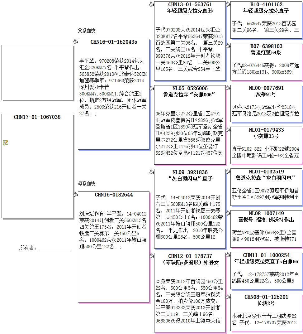 长城鸽业 中信网铭鸽展厅 www.ag188.com