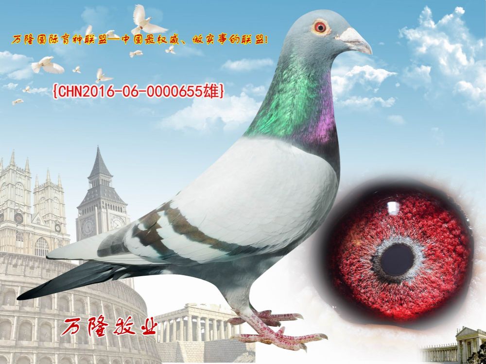 查看拍卖商品