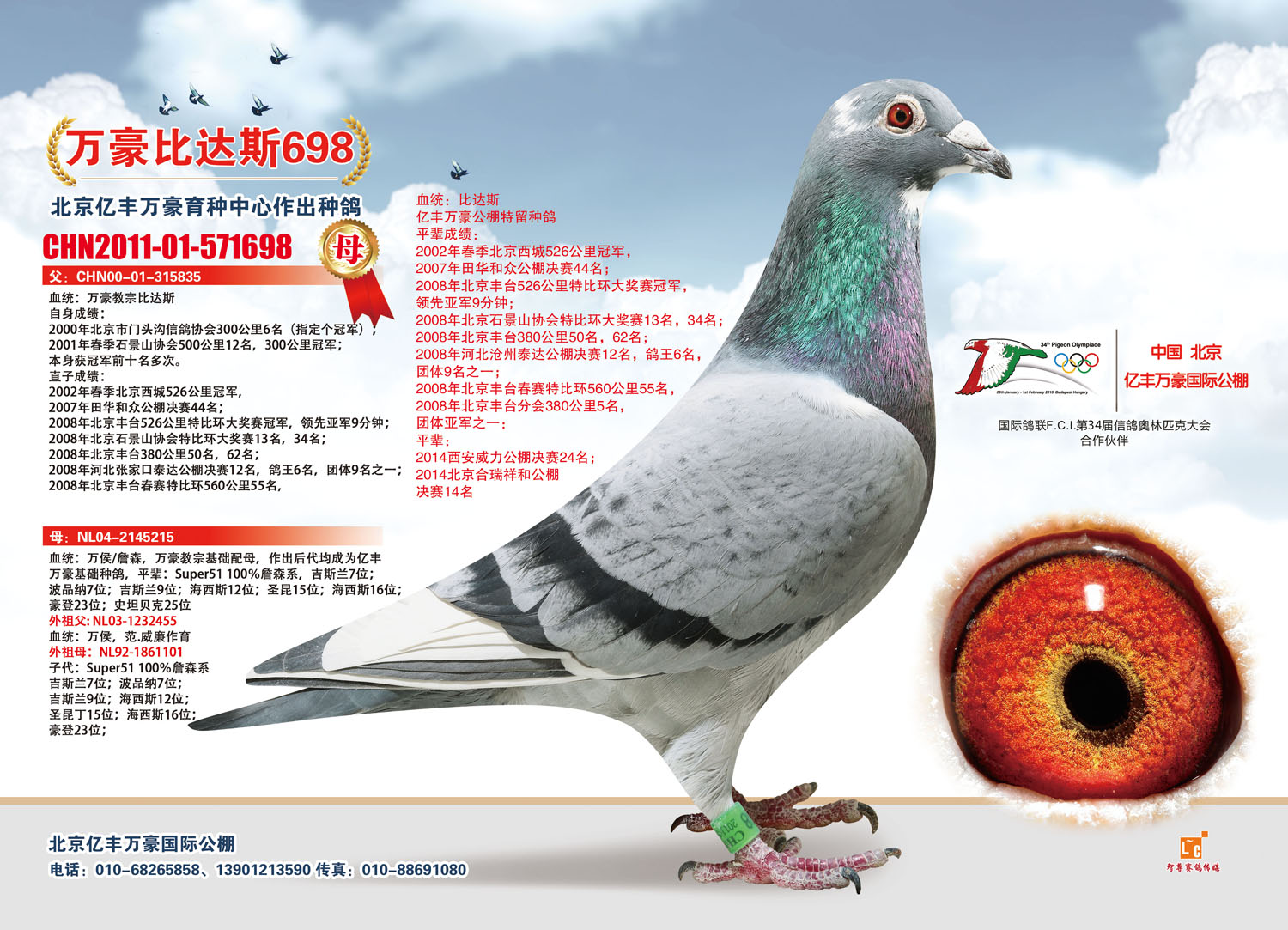 众友信鸽传媒