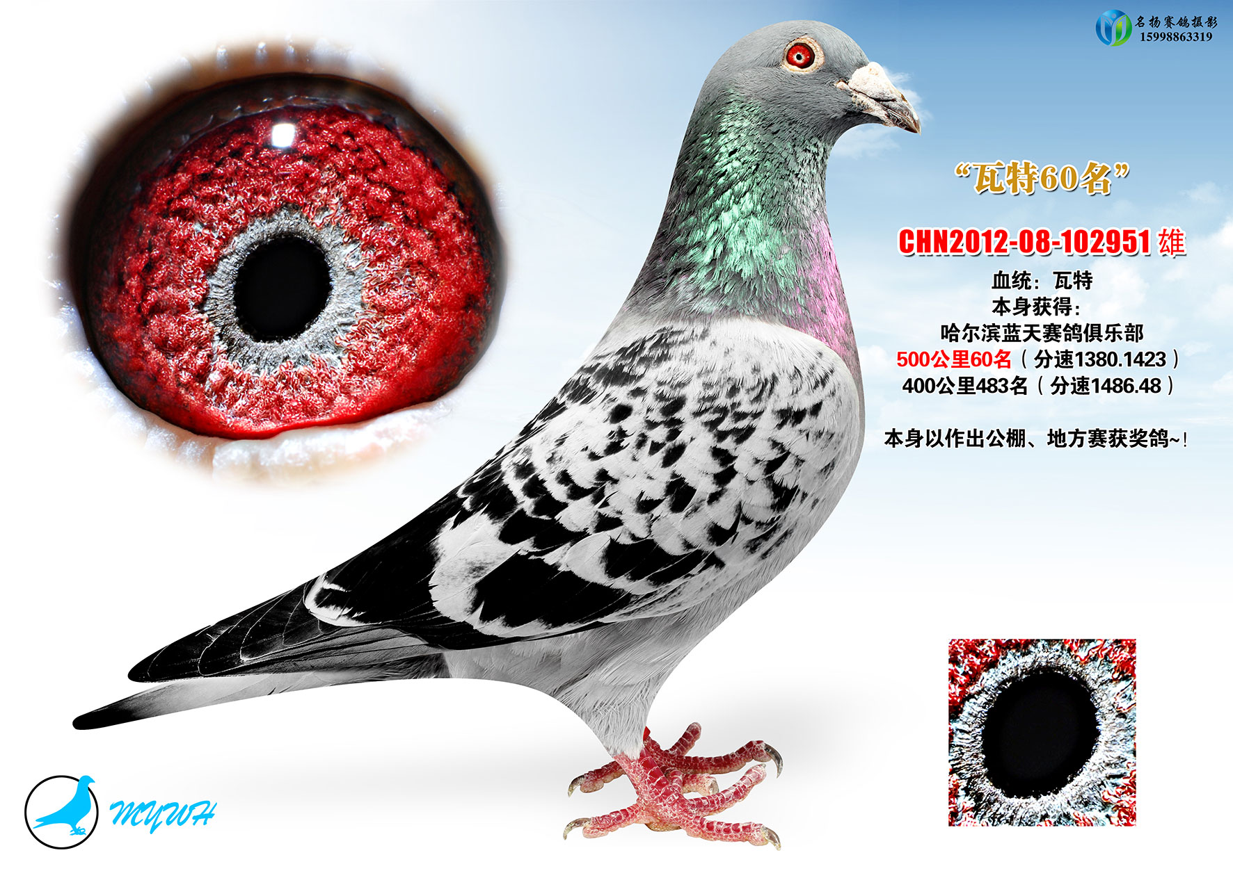 >> 查看拍卖商品