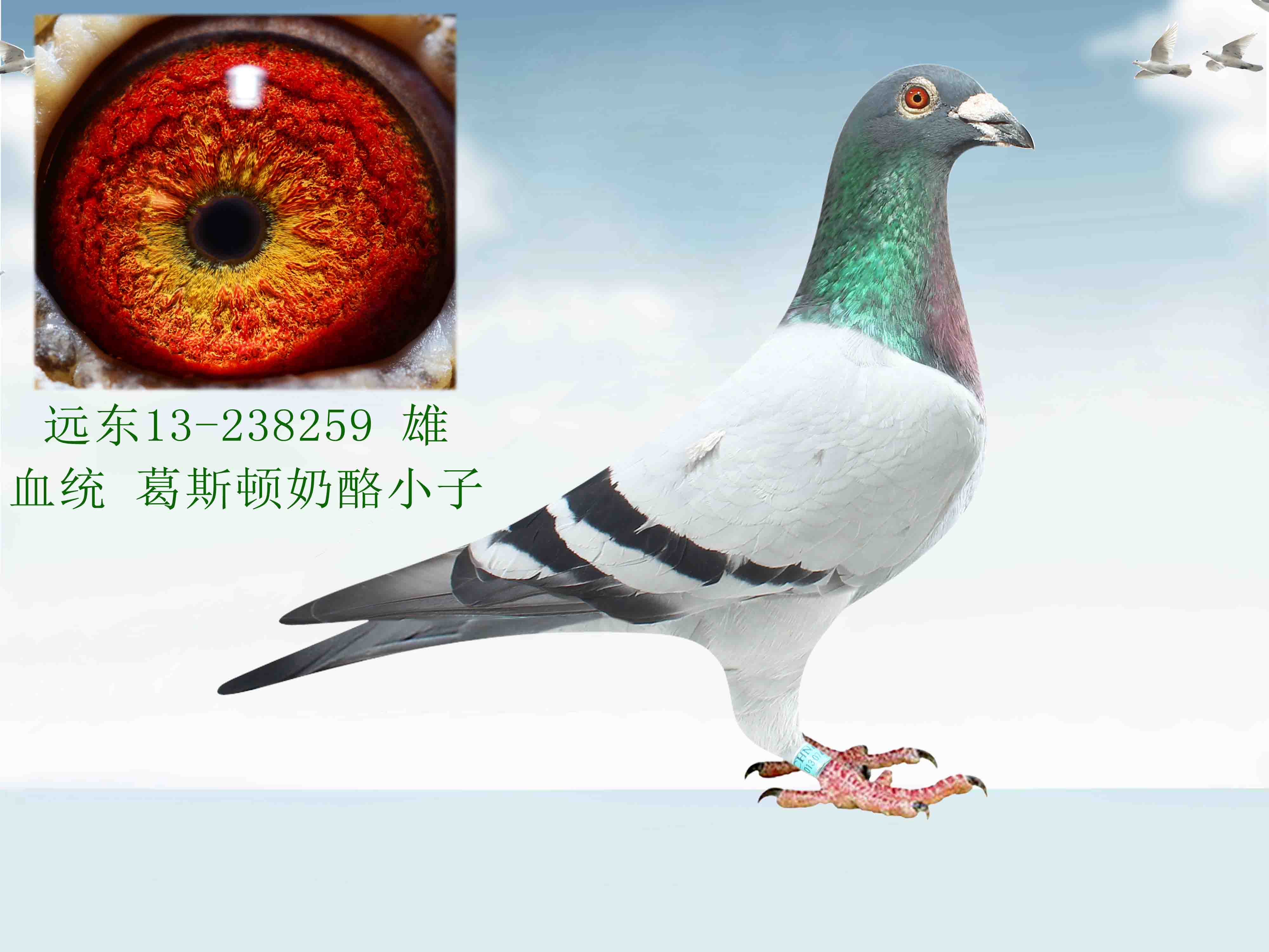 远东服装国际 - 中信网铭鸽展厅 www.ag188.com