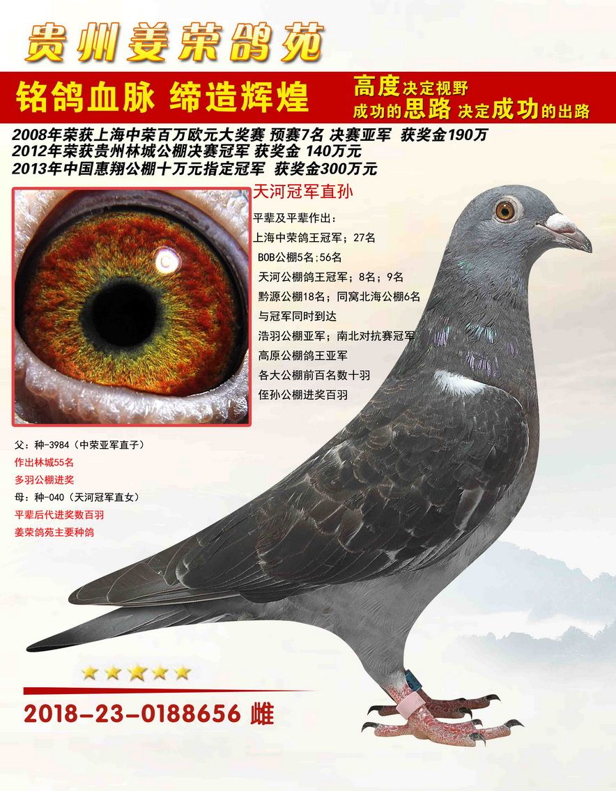 贵州姜荣鸽苑