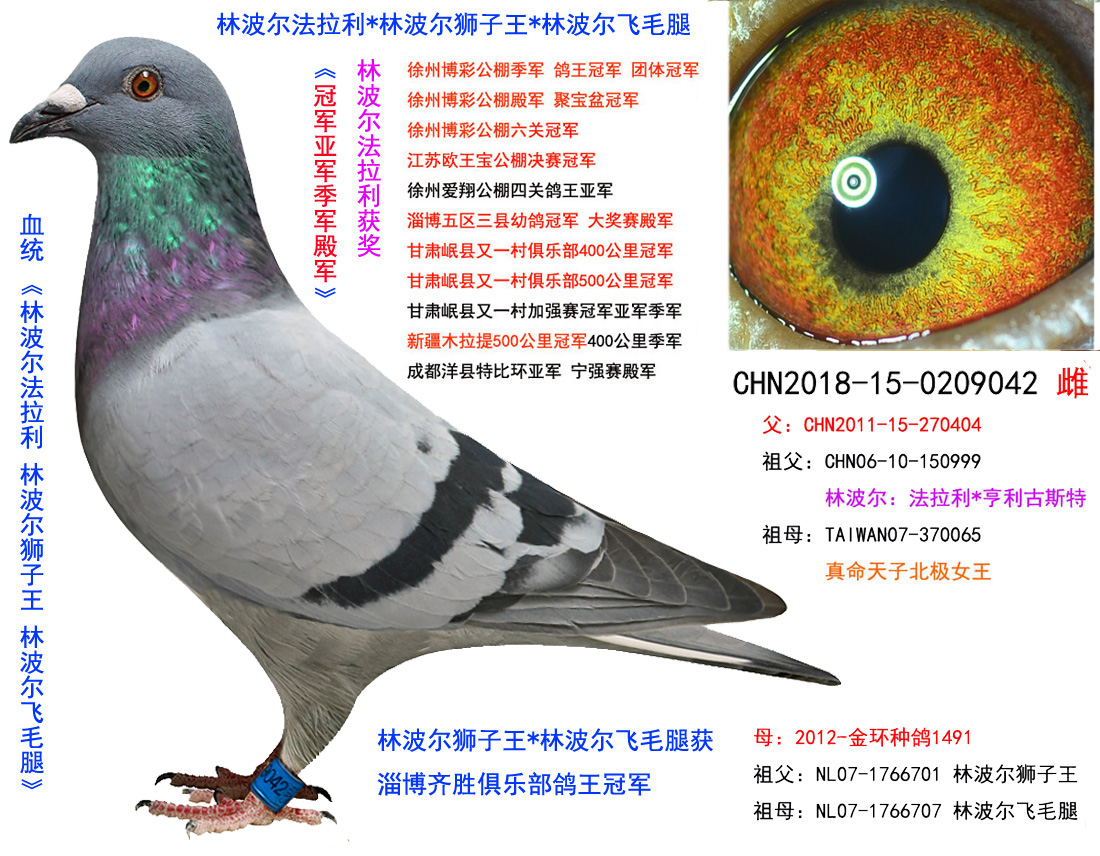 >> 查看拍卖商品