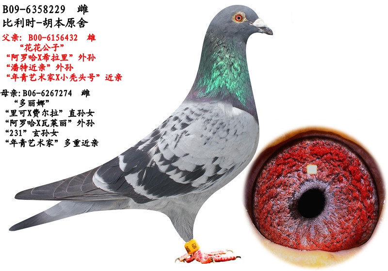 >> 查看拍卖商品