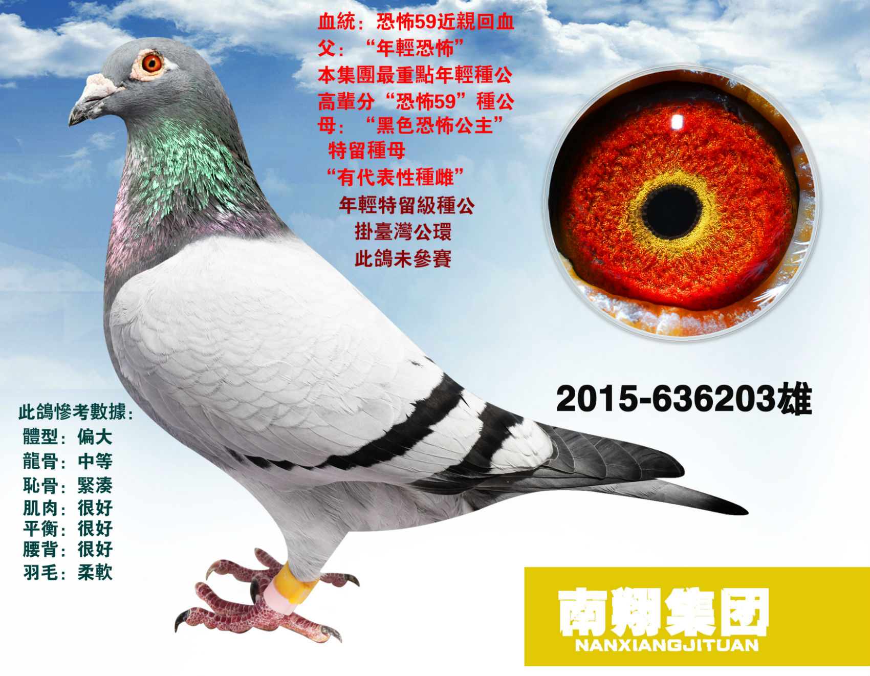鸽饲料                鸽用具                  "恐怖59