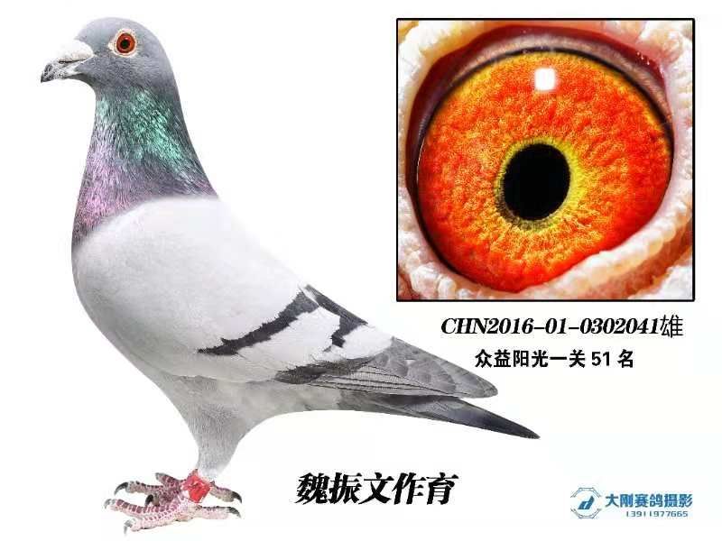 >> 查看拍卖商品