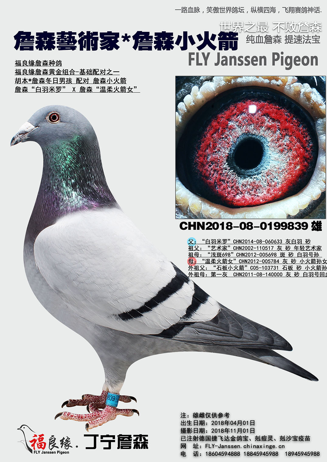 同父母: 2016年秋季黑龙江省大庆市龙凤区向阳信鸽协会400KM14名 2016年秋季黑龙江省大庆市龙凤区向阳信鸽协会400KM单关大奖赛季军 同母异父兄妹作出 CHN2014-23-671882 2014年秋季本舍支援贵州贵阳鸽友在贵州红枫赛鸽中心450KM决赛141名【归巢雾雨天气】 父:白羽米罗CHN2014-08-060633 灰白羽 砂 直女: CHN2016-08-0300178 2016年秋季黑龙江省大庆市龙凤区向阳信鸽协会400KM14名 2016年秋季黑龙江省大庆市龙凤区向阳信鸽协会