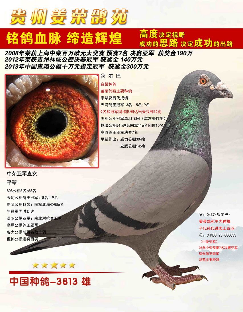 贵州姜荣鸽苑
