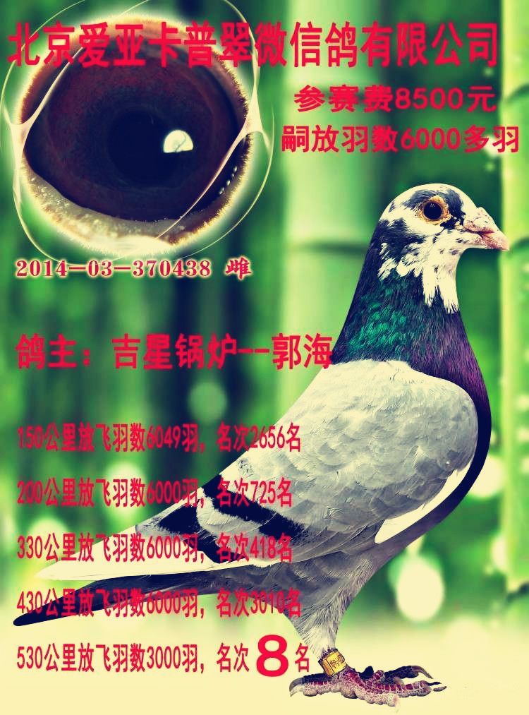 >> 查看拍卖商品