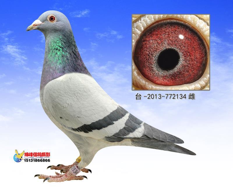 >> 查看拍卖商品