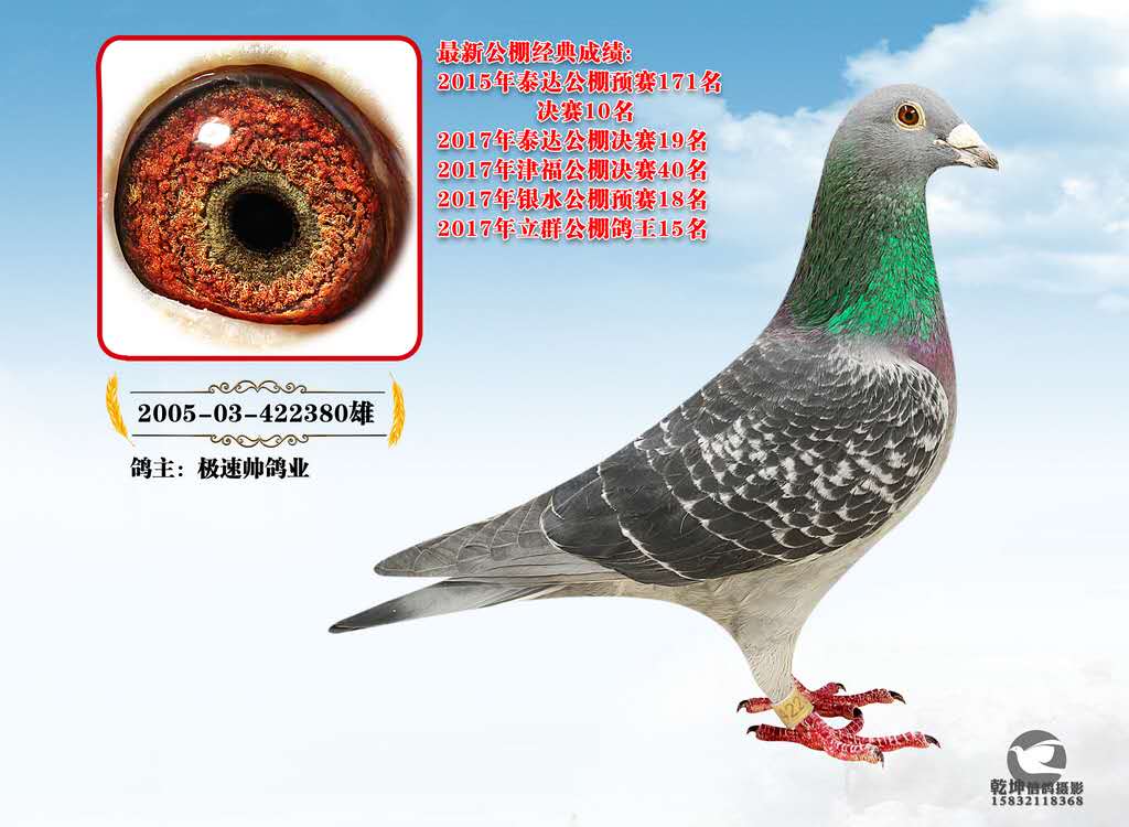>> 查看拍卖商品