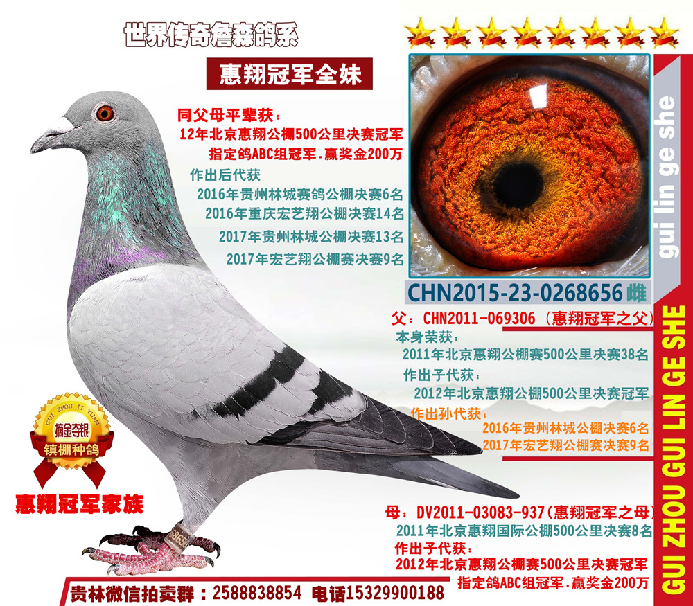 母亲:惠翔冠军全妹