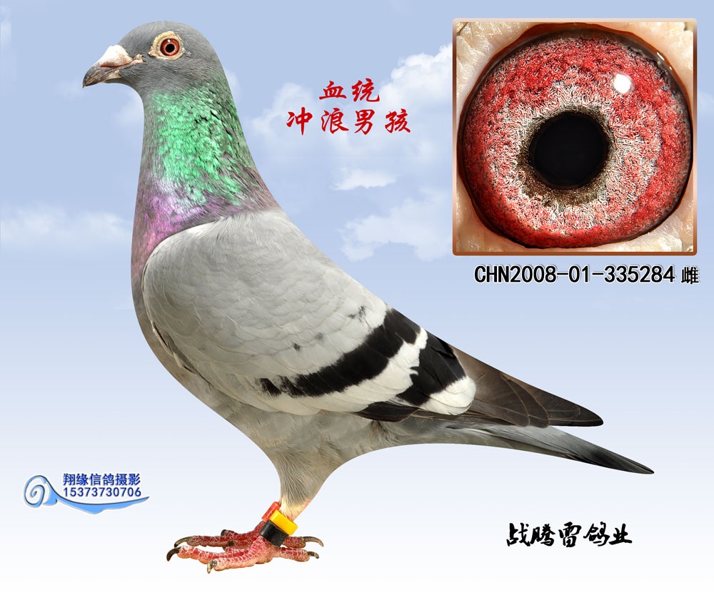 >> 查看拍卖商品