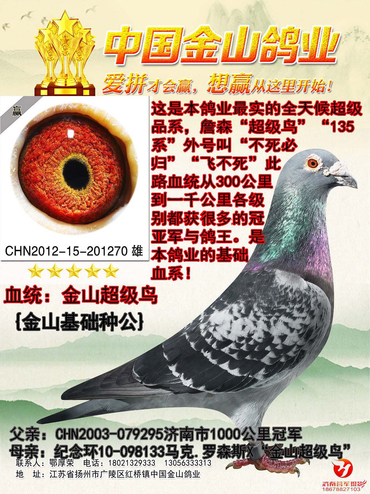 中国金山鸽业 - 中信网铭鸽展厅 www.ag188.com