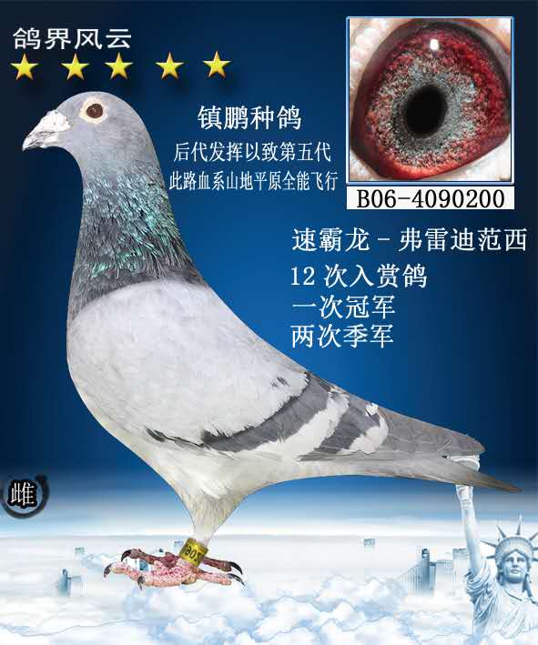 >> 查看拍卖商品