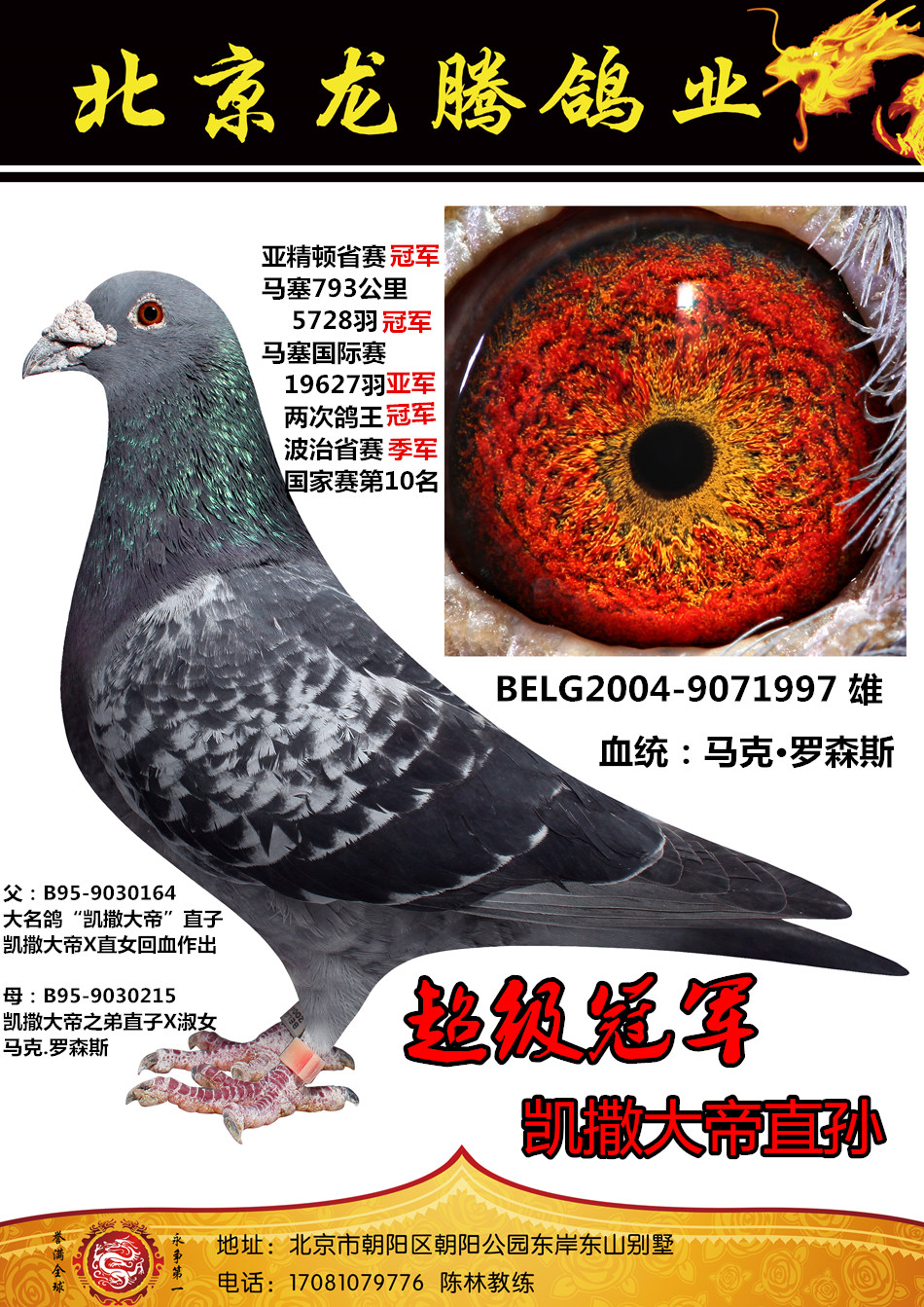 >> 查看拍卖商品