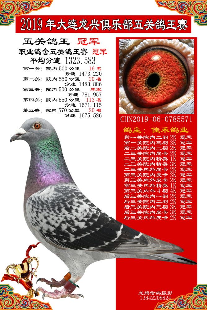 大连龙兴赛鸽俱乐部2019年秋季五关鸽王赛获奖鸽1—100名
