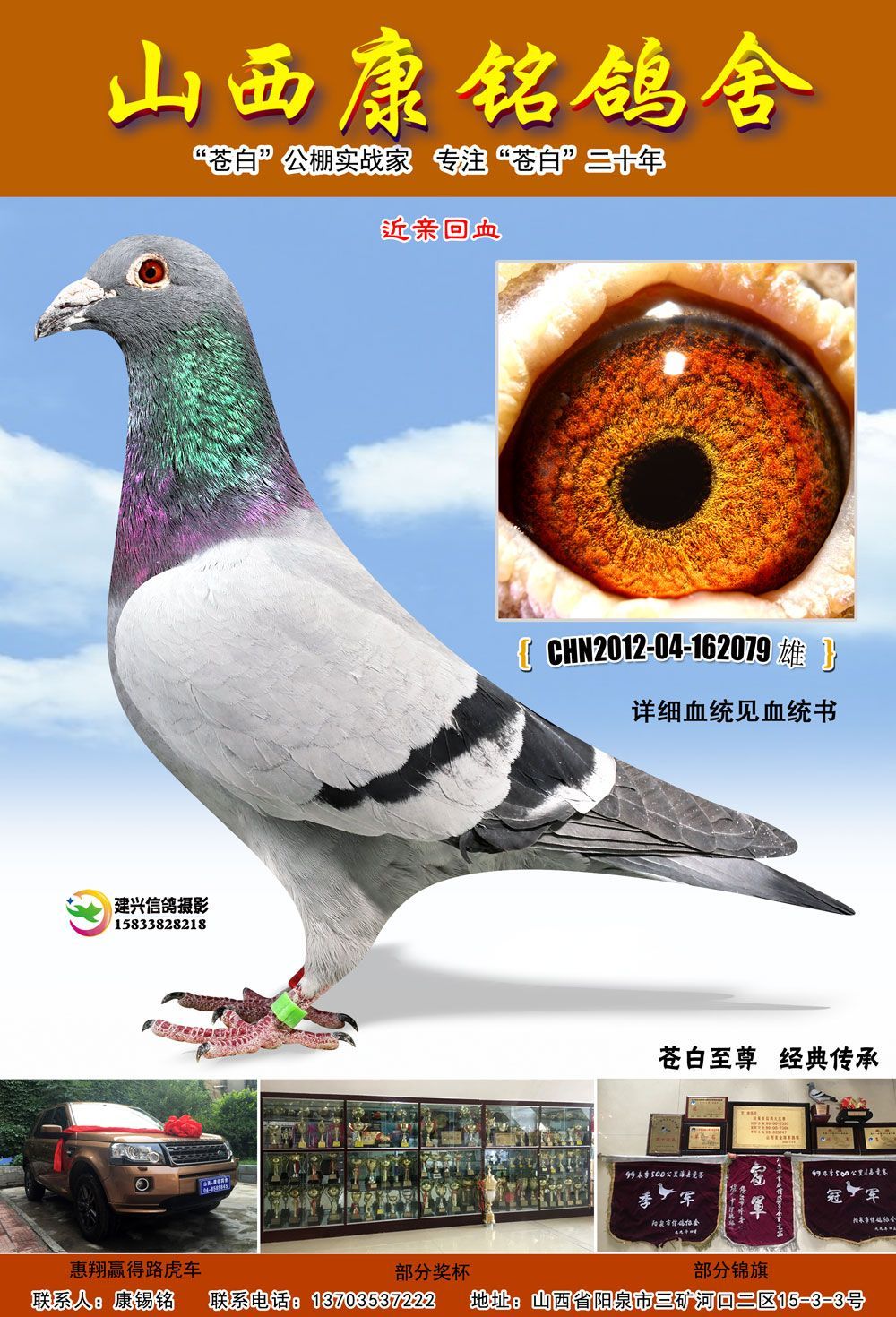 众友信鸽传媒 - 中信网铭鸽展厅 www.ag188.com