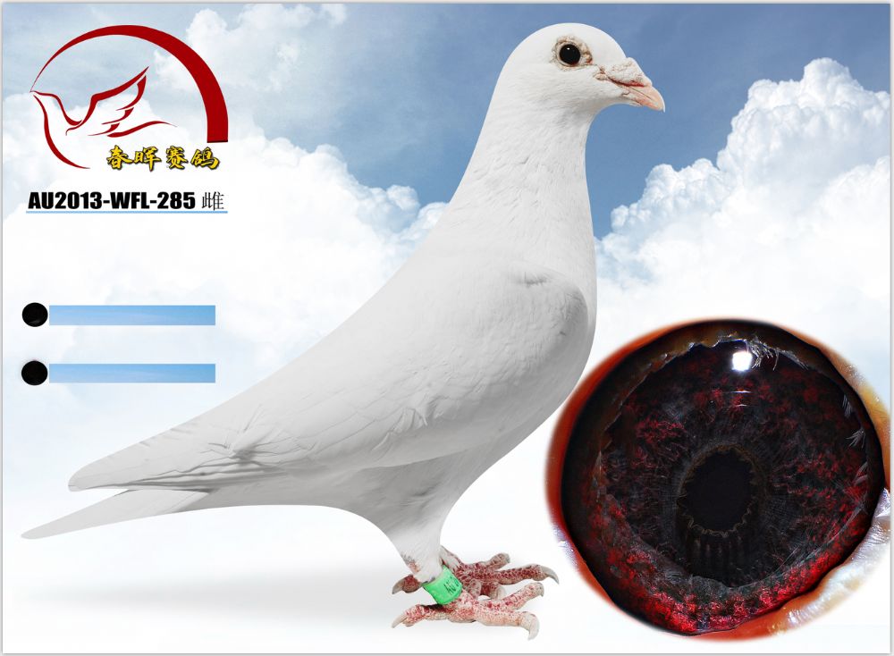 一;火车以及汽车运输150-300如果转运费用另算-火车可直达均为160元
