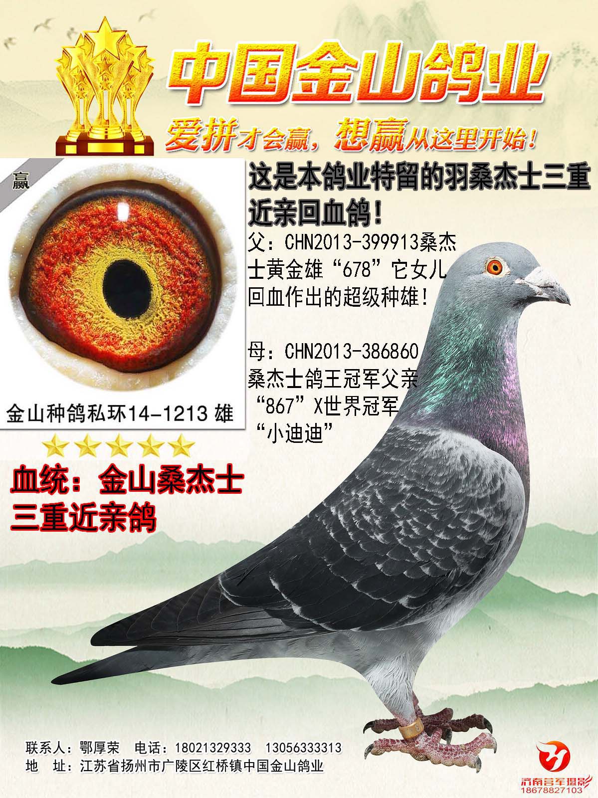 中国金山鸽业 - 中信网铭鸽展厅 www.ag188.com