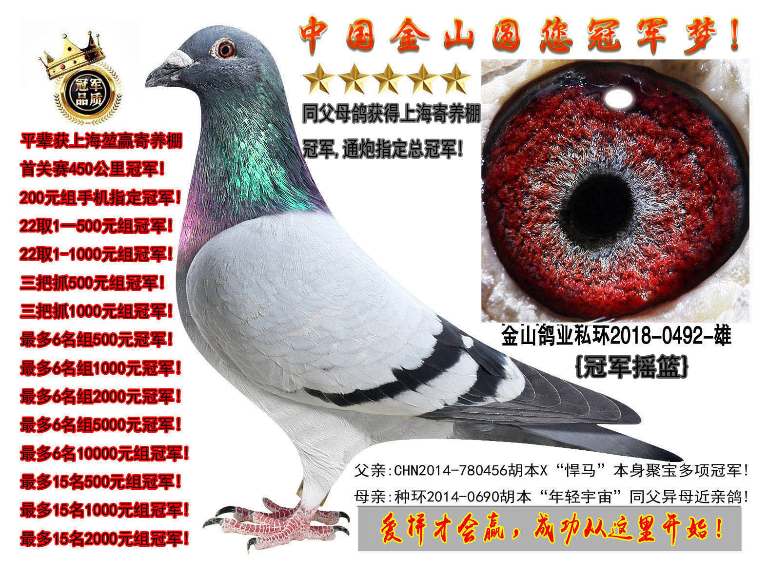中国金山鸽业 - 中信网铭鸽展厅 www.ag188.com