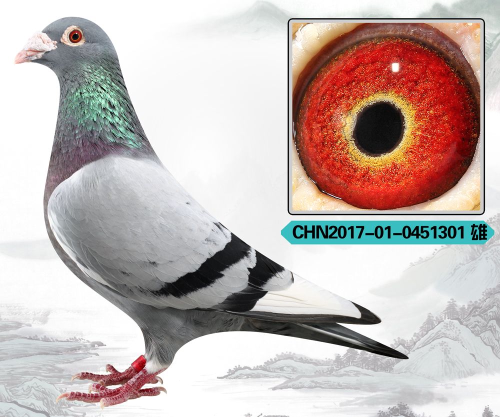 >> 查看拍卖商品