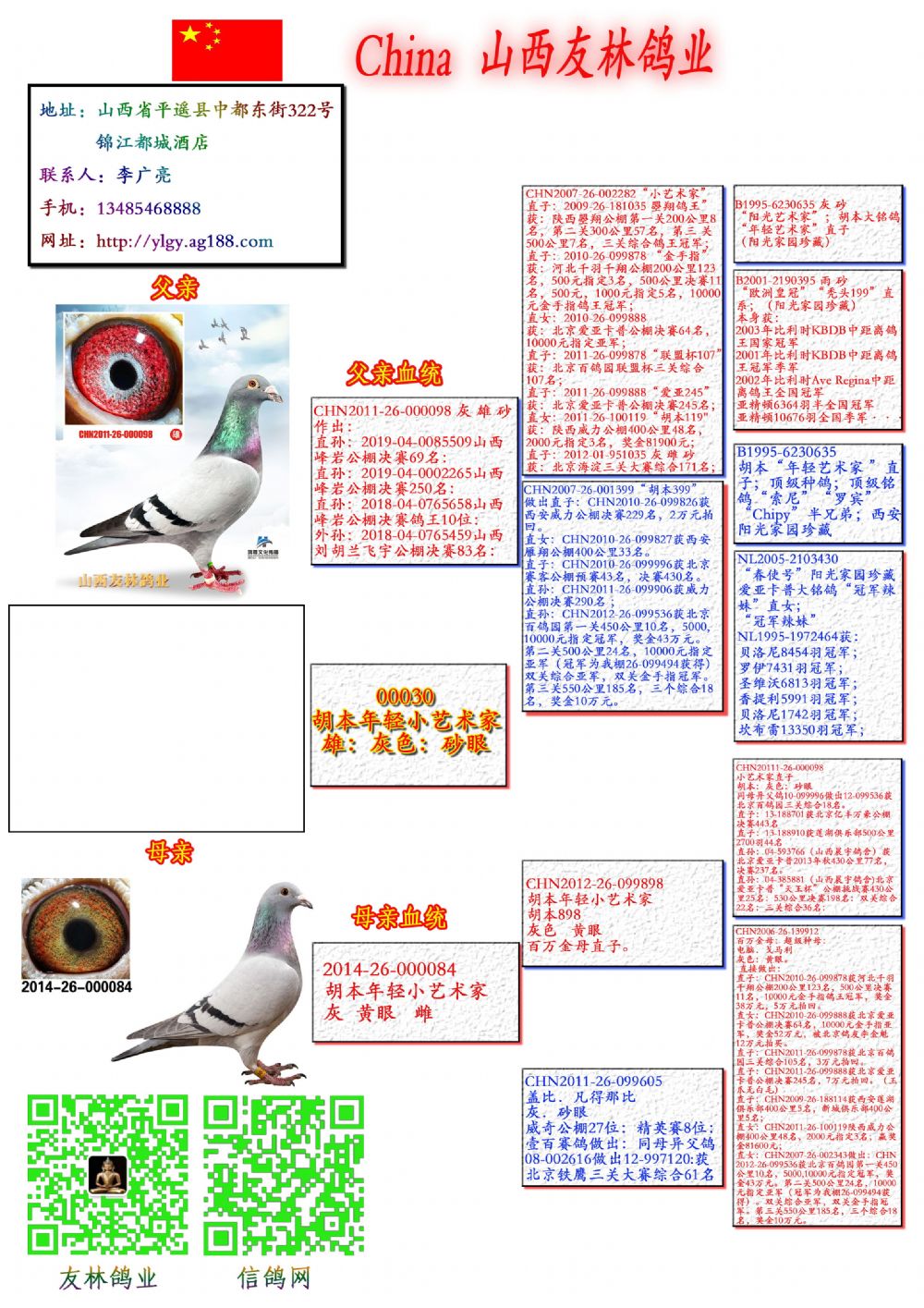 山西友林鸽业 - 中信网铭鸽展厅 www.ag188.com