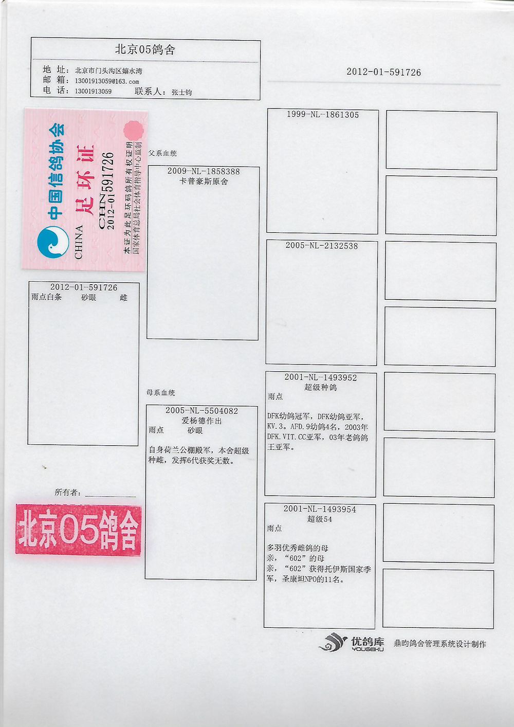 铭 鸽  新鸽上架  推荐铭鸽  定价鸽  在线拍鸽 黄金配对   网上展厅