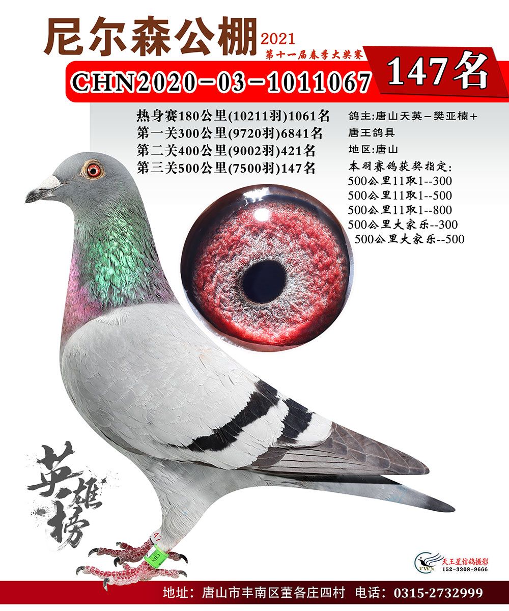 唐山尼尔森公棚2021年春季决赛101200名