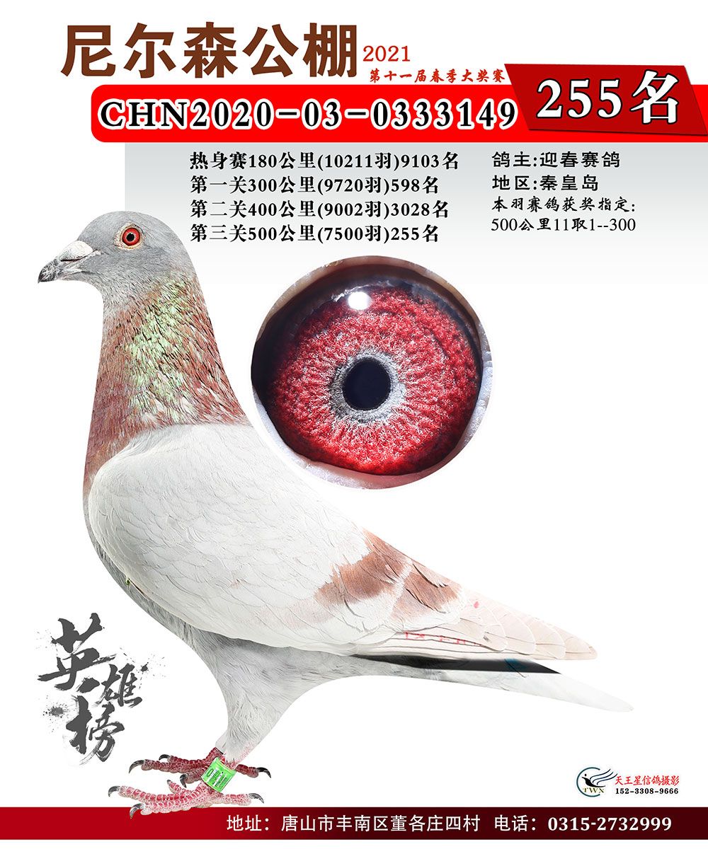 唐山尼尔森公棚2021年春季决赛201336名