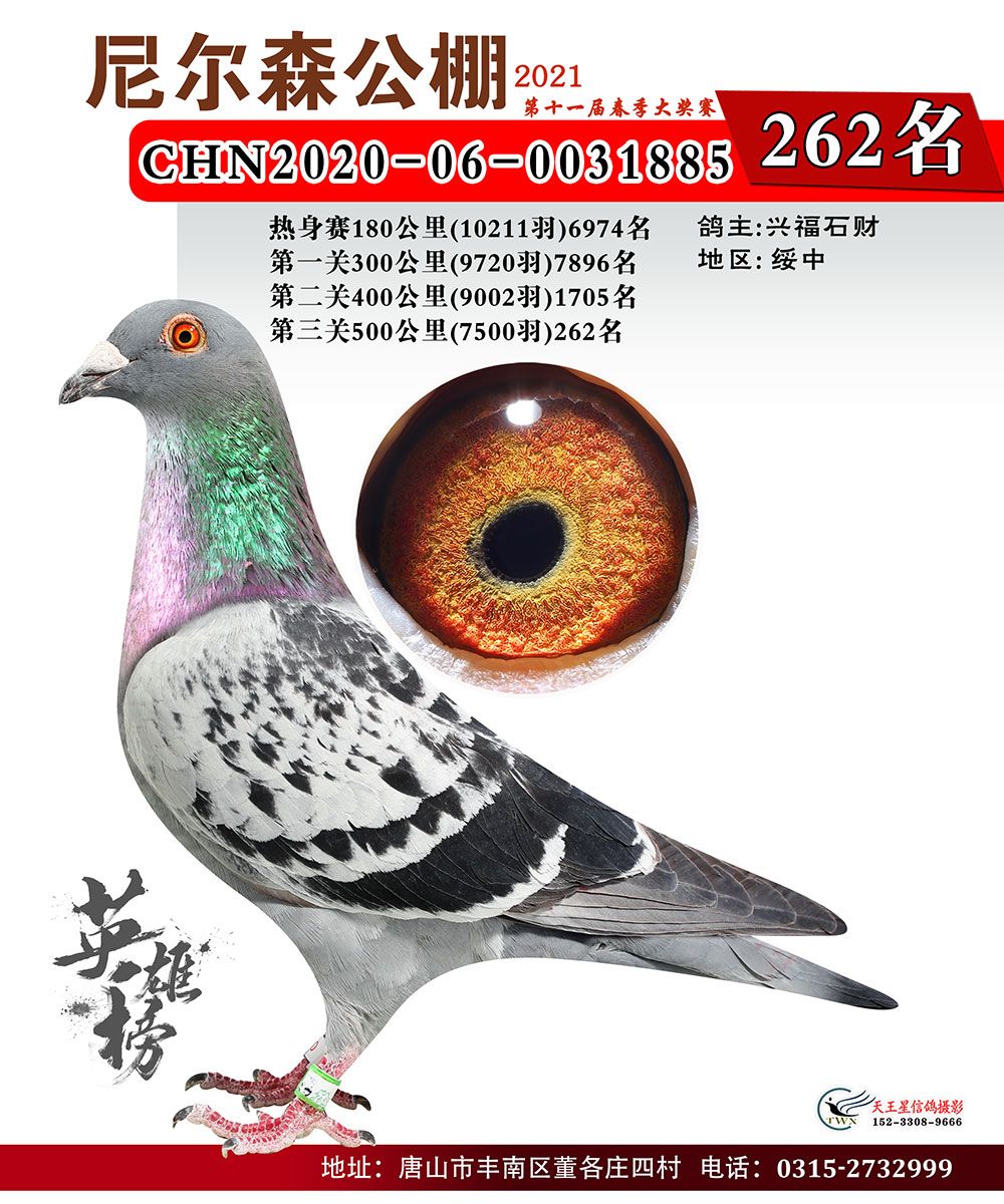 唐山尼尔森公棚2021年春季决赛201336名