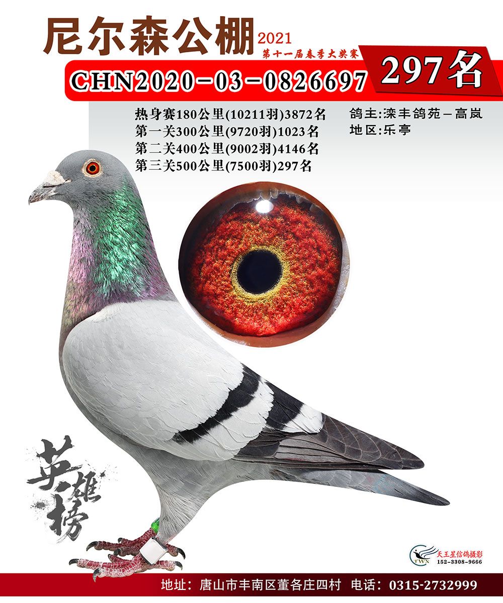 唐山尼尔森公棚2021年春季决赛201336名