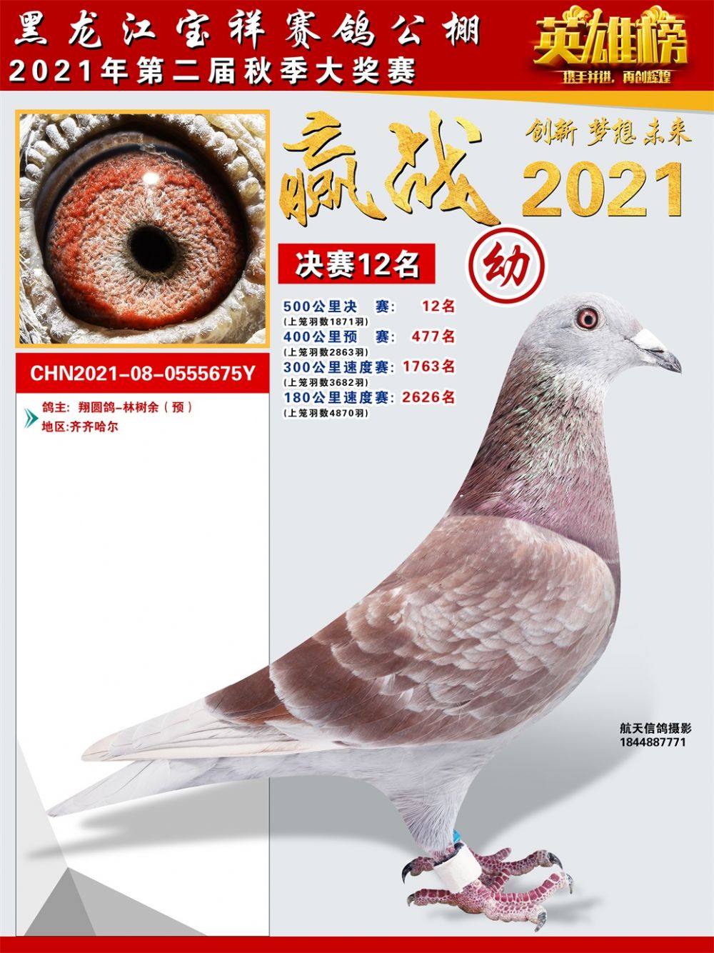 黑龙江宝祥公棚2021秋季幼鸽赛1100名